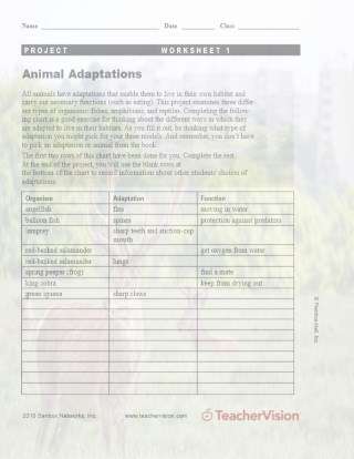 Animal Adaptations Project -- Worksheet 1 Printable (6th - 8th Grade